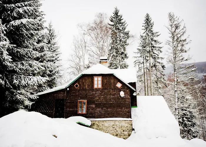 Chalet Horska Kouty *